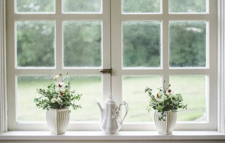 window with plants